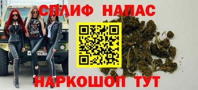 a pvp Тара